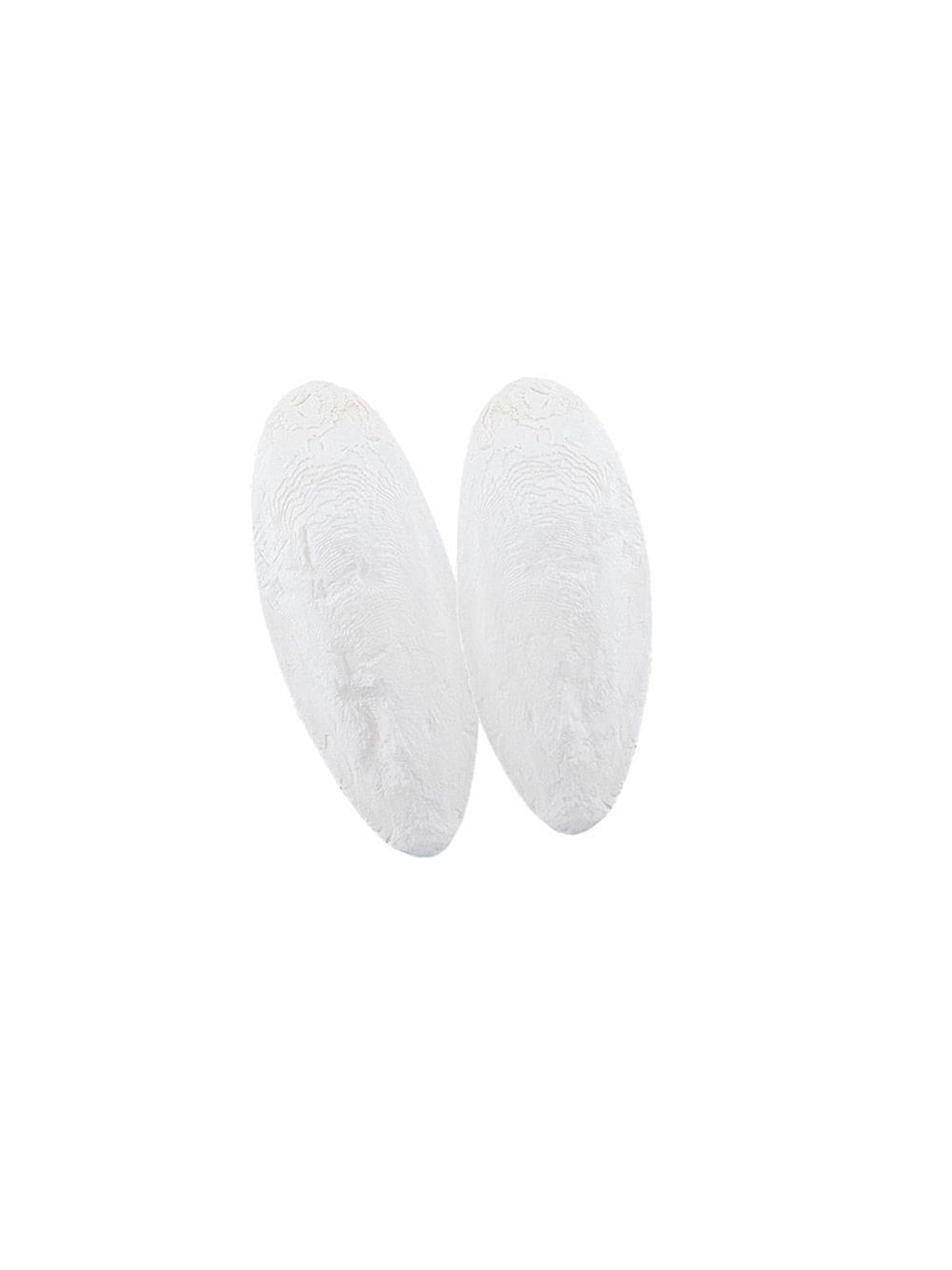 Nobby Sepiaschalen 1 kg, 7,5-10 cm, 1 kg