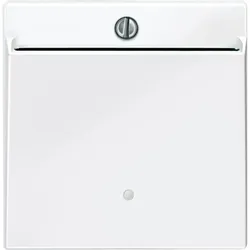 Merten 315619 Card-Schalter, polarweiß glänzend, System M