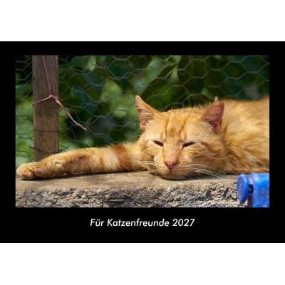 Für Katzenfreunde 2027 Fotokalender DIN A3