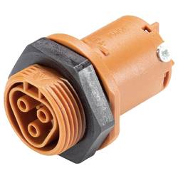 Wieland Electric 96.031.5051.4 Geräteanschluss