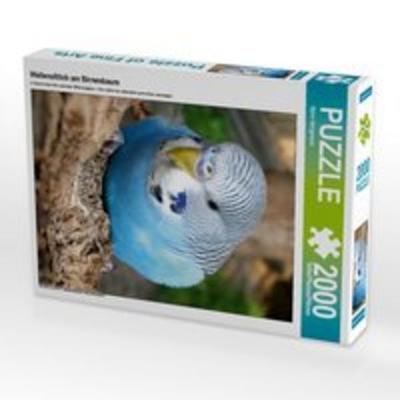 CALVENDO Puzzle Wellensittich am Birnenbaum 2000 Teile Puzzle hoch | 2000 Teile Lege-Größe 90 × 67 cm Foto-Puzzle für glückliche Stunden