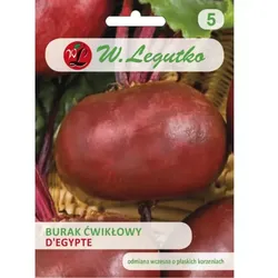 Rote Bete D'Egypte – flach