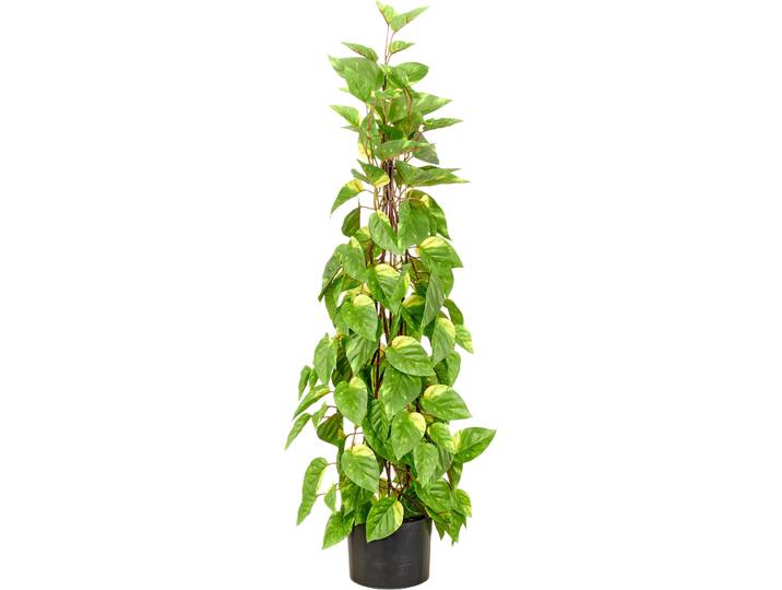 Kunstpflanze CREATIV GREEN Epipremnum , grün, H:95cm, Obermaterial: 100% Kunststoff, Kunstpflanzen, Kunstpflanze, in Pyramidenform