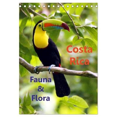 Costa Rica - Fauna & Flora (Tischkalender 2027 DIN A5 hoch), CALVENDO Monatskalender