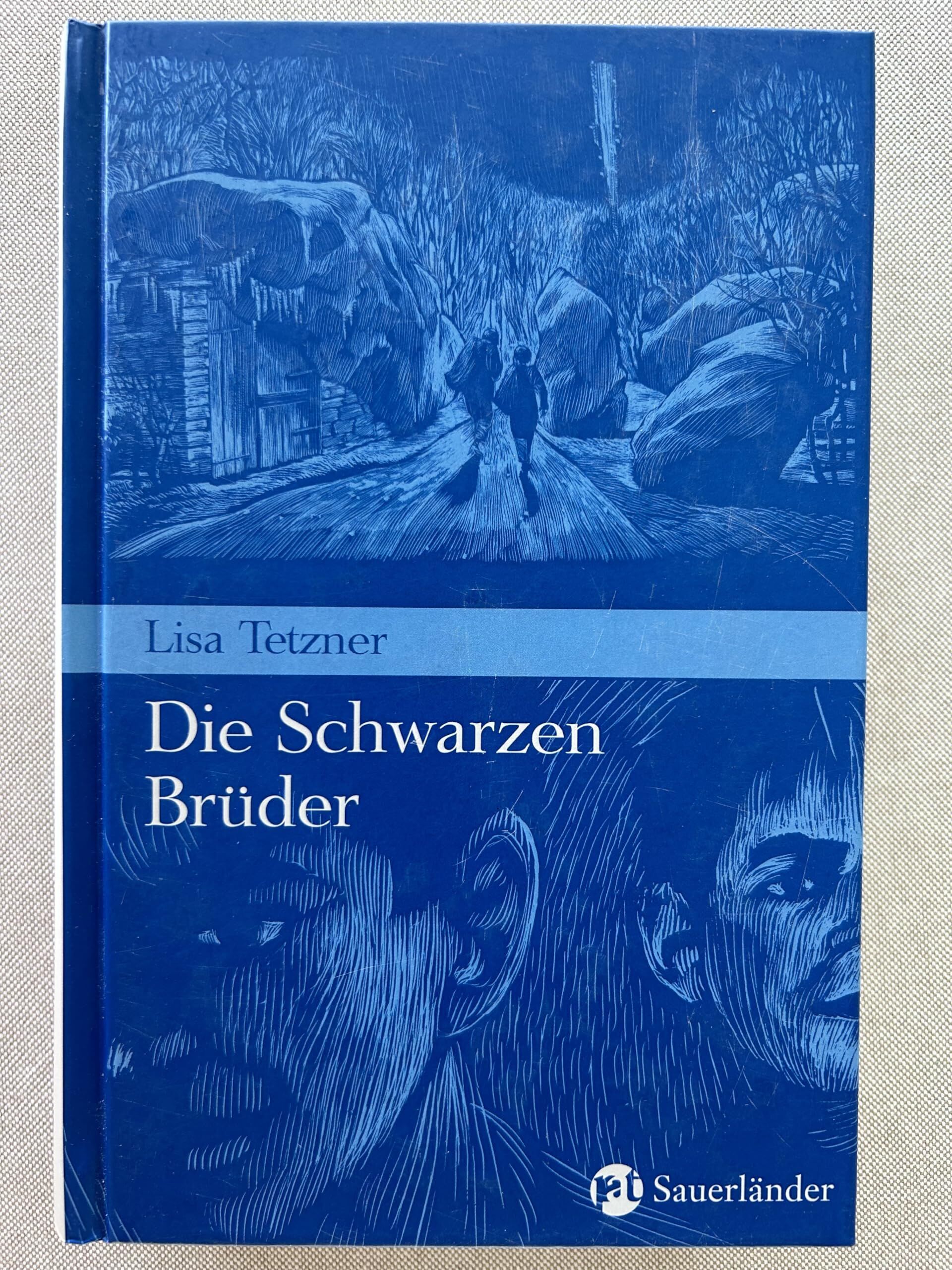Lisa Tetzner - Die Schwarzen Brüder: Erlebnisse und Abenteuer eines kleinen Tessiners - Preis vom 13.10.2026 11:25:28 h