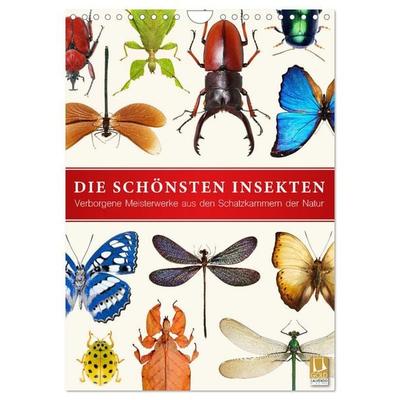 Die schönsten Insekten (Wandkalender 2026 DIN A4 hoch), CALVENDO Monatskalender