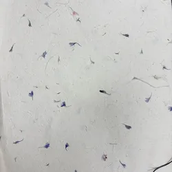 Lokta Craft & Wrapping Paper 51x76cm – Cornflower Petal