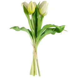 Tulpenbund   ¦ grün ¦ Kunststoff ¦ Maße (cm): H: 28