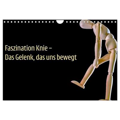 Faszination Knie - Das Gelenk, das uns bewegt (Wandkalender 2026 DIN A4 quer), CALVENDO Monatskalender