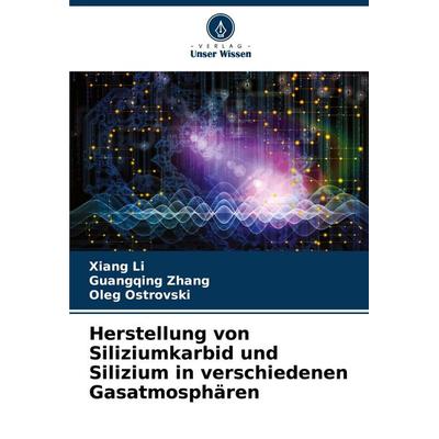 Herstellung von Siliziumkarbid und Silizium in verschiedenen Gasatmosphären, Taschenbuch von Xiang Li,Guangqing Zhang,Oleg Ostrovski, Verlag Unser