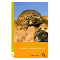 Vetter,H.:Griekse Landschildpad, Ratgeber von Holger Vetter