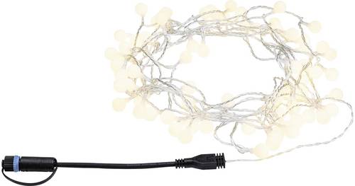 Paulmann 94557 Beleuchtungssystem Plug & Shine LED 2W Warmweiß Schwarz