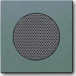Busch-Jaeger Zentralscheibe meteor/gr 8253-803