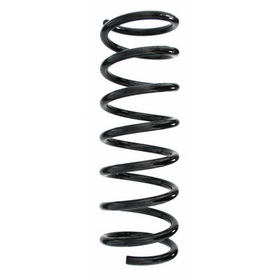 SPIDAN Fahrwerksfeder 55343 Hinterachse für Ford