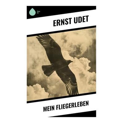 Mein Fliegerleben, Taschenbuch von Ernst Udet, Sharp Ink, 978-80-283-4502-0