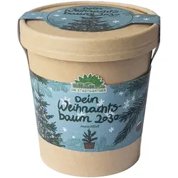Anzuchtset "Dein Weihnachtsbaum 2030"