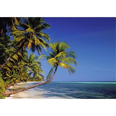 Fototapete PAPERMOON "Palmenstrand", bunt, B:2,5m L:1,86m, Vlies, Tapeten