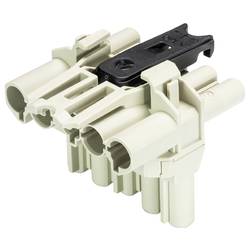 Wieland Electric 92.050.3553.0 Verteiler