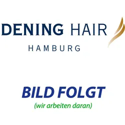 Toupet-Befestigungskämmchen getaucht