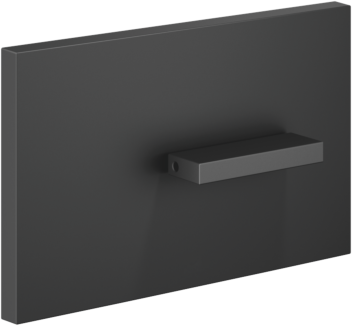 Dornbracht Abdeckplatte 12660979-33 für WC-UP-Spülkasten TECE, schwarz matt