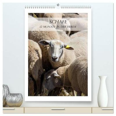 Schafe - 12 Monate in der Herde (hochwertiger Premium Wandkalender 2027 DIN A2 hoch), Kunstdruck in Hochglanz
