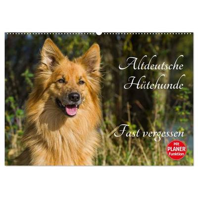 Altdeutsche Hütehunde - Fast vergessen (Wandkalender 2026 DIN A2 quer), CALVENDO Monatskalender
