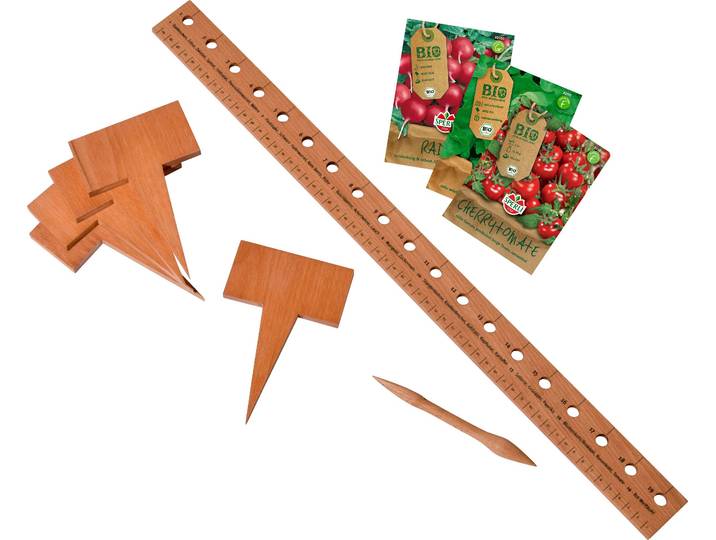 Gemüsesamen DOBAR, beige (natur), Sämereien, Gemüsesamen, Pflanzen-Starter-Set aus Buchenholz mit 3 verschiedenen BIO-Saaten