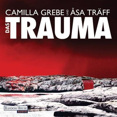Das Trauma - Camilla Grebe,Åsa Träff, Audio, 9783837110449