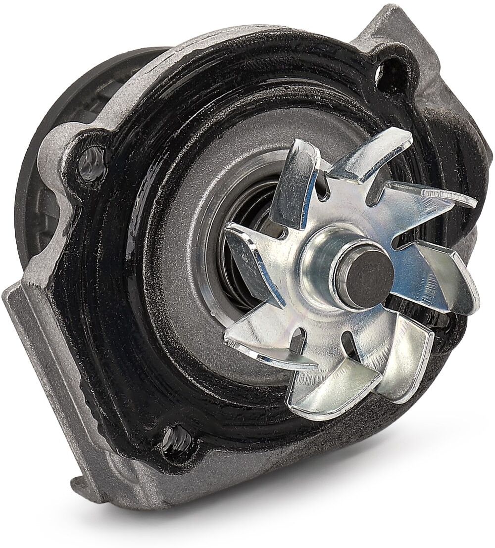 SKF VKMC 02201 Water pump and timing belt kit