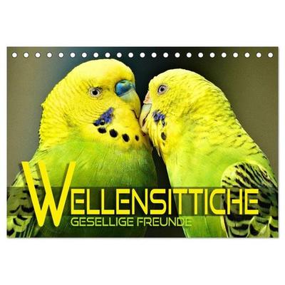 Wellensittiche - gesellige Freunde (Tischkalender 2026 DIN A5 quer), CALVENDO Monatskalender