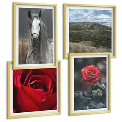 BILDER SET 4er Set - 50x50 cm & 40x60 cm Goldrahmen - Rote Rosen auf pferdegrauem Hintergrund