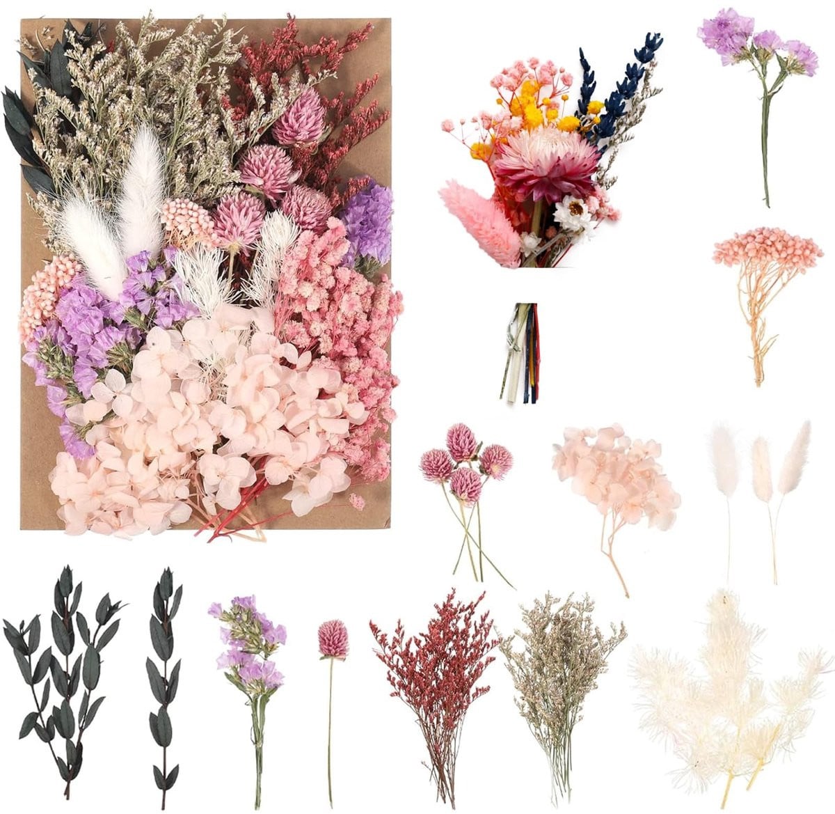 Dailygoods Natuurlijke gedroogde bloemen voor decoratie en knutselen