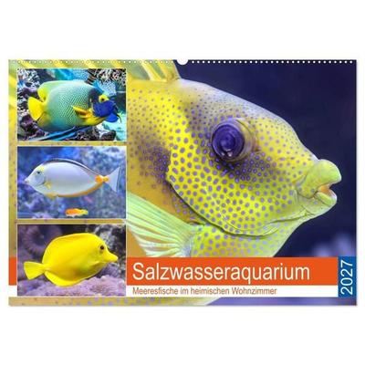 Salzwasseraquarium. Meeresfische im heimischen Wohnzimmer (Wandkalender 2027 DIN A2 quer), CALVENDO Monatskalender