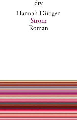 Hannah Dübgen - Strom: Roman (dtv Literatur) - Preis vom 14.10.2026 23:07:16 h