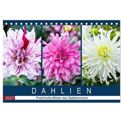 Dahlien - Prachtvolle Blüten des Spätsommers (Tischkalender 2027 DIN A5 quer), CALVENDO Monatskalender