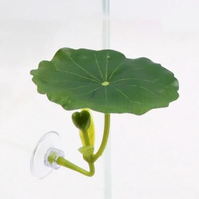 Inspired Finds Betta Fish Leaf Hammock With Suction Cup Aquarium Resting Plant Decor bloom Lotus Leaf