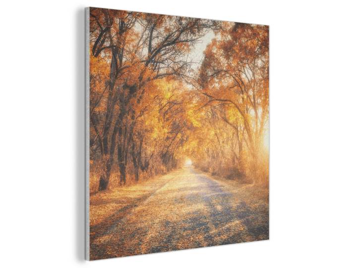 MuchoWow Akustikpaneel Wald - Herbst - Bäume - Waldweg - Natur 90x90 cm, Bernsteinfarben, Kunststoff, Quadratisch, 90x90x0.9 cm, Tapeten & Wandverkleidungen, Akustikpaneele