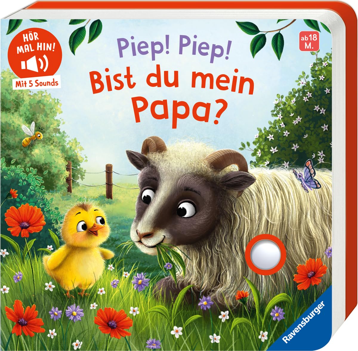 Bernd Penners - Hör mal hin - Piep! Piep! Bist du mein Papa? - Eine erste Geschichte mit 5 Sounds für Kinder ab 18 Monaten - Preis vom 10.10.2026 11:48:34 h