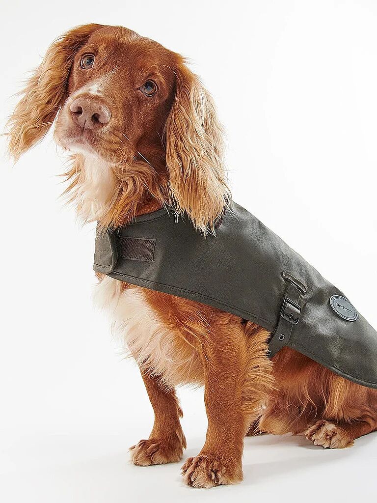 BARBOUR Hundemantel Wachs olive   XL W