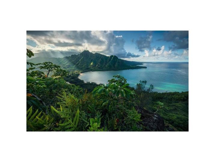 FOTOTAPETE JURASSIC ISLAND