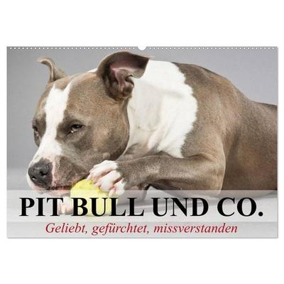 Pit Bull und Co. - Geliebt, gefürchtet, missverstanden (Wandkalender 2026 DIN A2 quer), CALVENDO Monatskalender