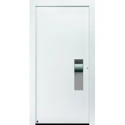 Hörmann ThermoCarbon Haustür Motiv 304
