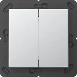 Jung Matter Taster MAT A 595 AL