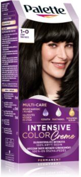 Schwarzkopf Palette Intensive Color Creme cor para cabelo permanente tom 1-0 N1 Black 1 un.. Palette Intensive Color Creme