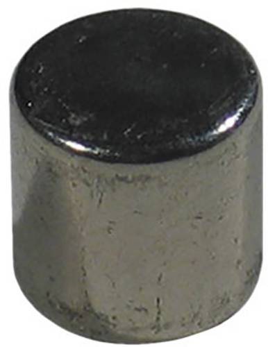 Pepperl+Fuchs Dauermagnet 5 St. DM10-10 NDFEB