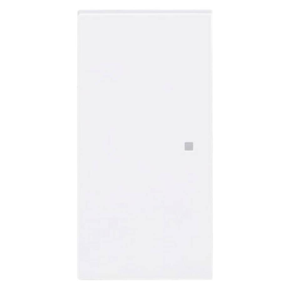 Busch-Jaeger Wippe (2CKA006220A0944)