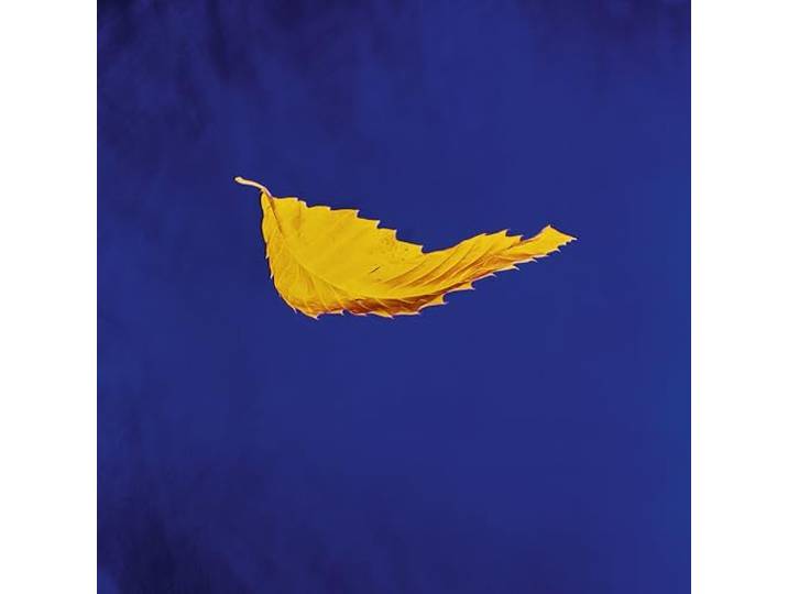 True Faith(2023 Remaster) [Vinyl Maxi-Single]