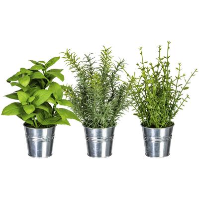 Kunstpflanze CREATIV GREEN "Kräutermix im Zinktopf", grün, H:25cm, Obermaterial: 100% Polyethylen, Kunstpflanzen, Kunstpflanze