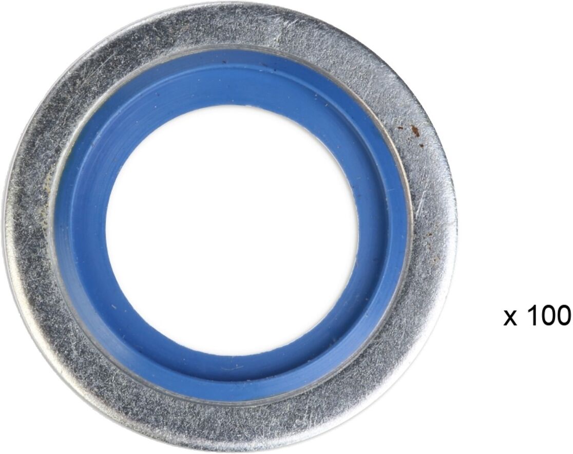 RIDEX 2048S0139 Dichtring