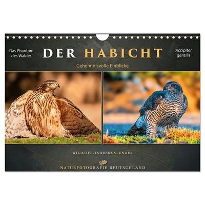 Der HABICHT - Geheimnisvolle Einblicke (Wandkalender 2027 DIN A4 quer), CALVENDO Monatskalender